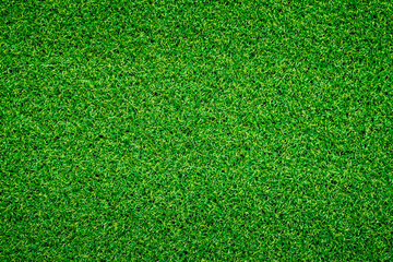 Green grass background