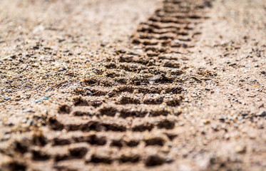 motorcycle and car tire track print on sand with selective focus