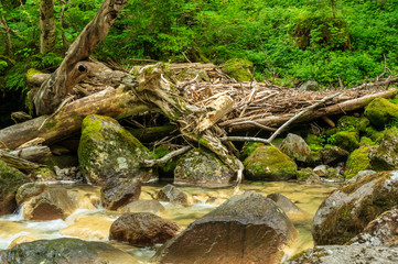 乗鞍高原　三本滝