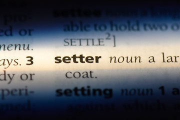 setter