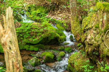 乗鞍高原　三本滝