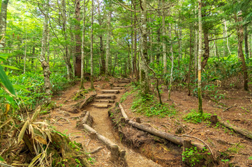 乗鞍高原　三本滝