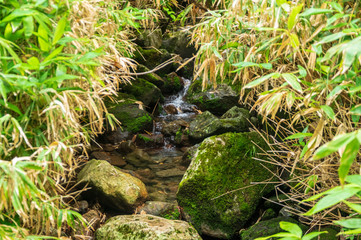 乗鞍高原　三本滝