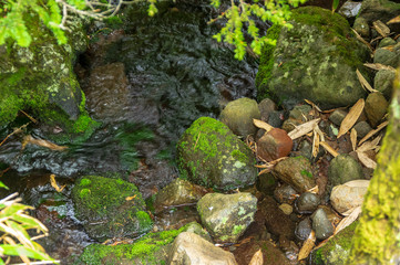 乗鞍高原　三本滝