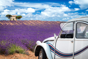 old french car in front of lavender field in provence france colorful purple closeup macro shot...