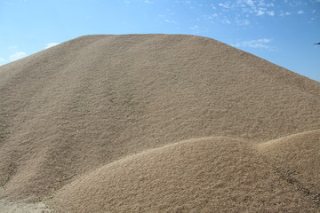 Naklejka premium lots of delicious drying to be ground