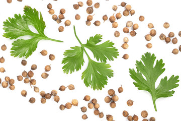 coriander seed and leaves isolated on white background with copy space for your text. Top view. Flat lay pattern - Powered by Adobe