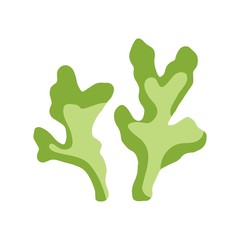 seaweed is isolated green. aquarium plant