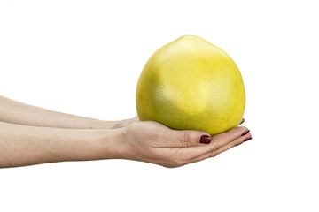  Pomelo fruit isolated