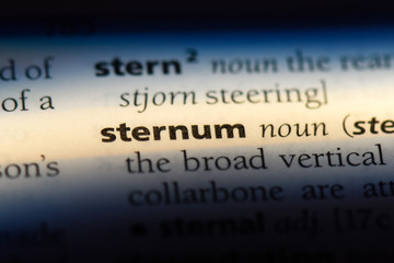 sternum