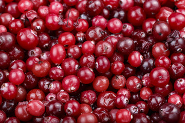 a lot of ripe cranberry background