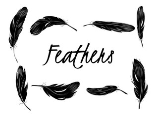 Set of isolated black feathers on transparent background in realistic style vector illustration.