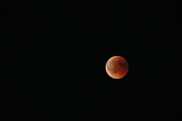 Blutmond / Blood moon / roter Mond / Mond / Moon
