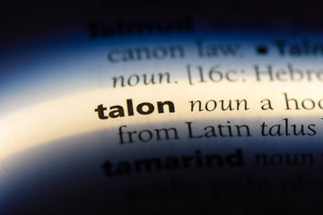 talon