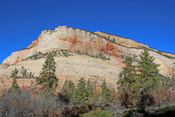 Zion National Park, Utah