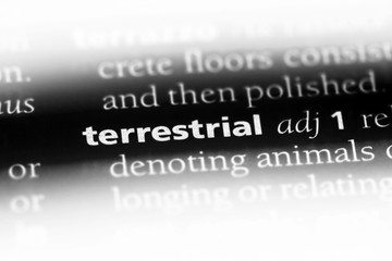 terrestrial