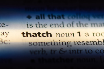 thatch