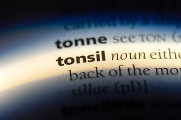 tonsil