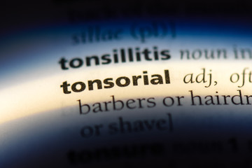 tonsorial