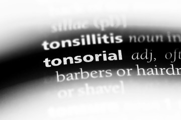 tonsorial