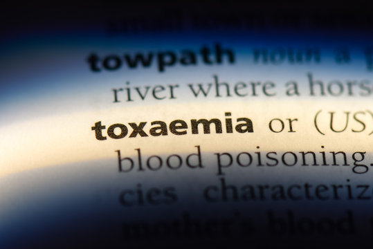 toxaemia