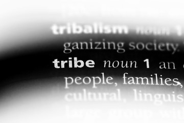 tribe