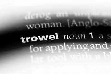 trowel