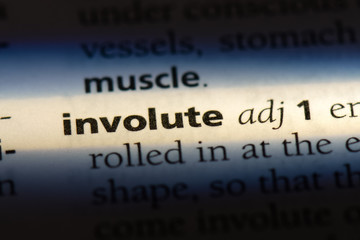 involute