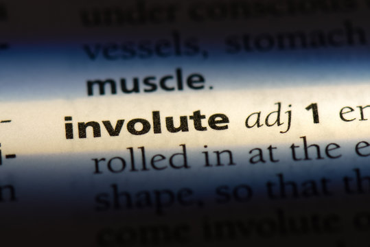 involute