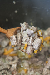 Meat stew with vegetables and herbs. Stew in a wooden spoon. vertical photo