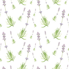Hand drawn watercolor seamless pattern of spring lavender. Relaxing illustration of cute country field flowers.