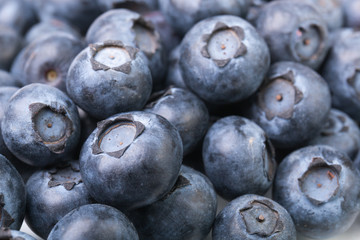 Fresh blueberries, ripe blackberry, berries background, close-up high angle view