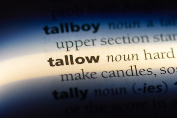 tallow