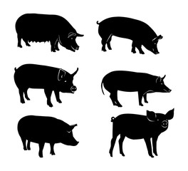 Set of black silhouettes of pig