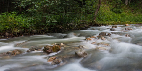 Naklejka na ściany i meble Creek in woods; Zakopane area, Poland