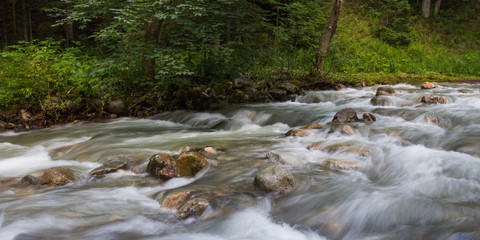 Fototapeta na wymiar Small creek; Zakopane area, Poland