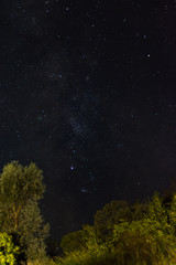 Stars above light painted bushes; Szekelyudvarhely area, Romania