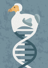 Dodo from DNA (vertical illustration). Possibility of resurrection biology or cloning. Will it be possible to create an organism, which was an extinct species © valentinakru