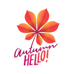 Obraz premium Golden autumn fallen leaf of chestnut and text Autumn time. Vector