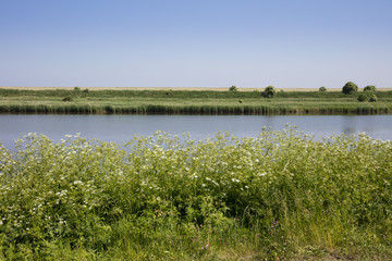 Landschaft am Leyhörner Sieltief, Greetsiel, Leybucht, Krummhörn,Ostfriesland, Niedersachsen, Deutschland, Europa