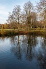 Fototapeta na wymiar Trees and refletion in lake