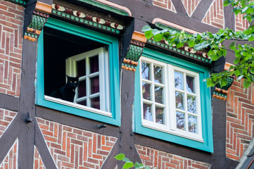 Obraz premium Die Katze am Fenster