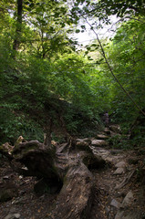 Mamed gorge on the Black Sea coast of Russia