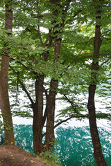 View of blue lake with trees