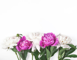 White and pink peony flowers on white background. Top view with copy space. Flat lay.