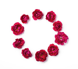 Round frame wreath made of pink rose flowers isolated on white background. Top view. Flat lay.