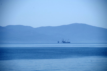 Obraz premium Monster In The Sea