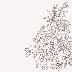 Blossoming peony flowers on white with wildflowers. Vector illustration. Perfect for background greeting cards and invitations of the wedding, birthday, Valentine's Day, Mother's Day.