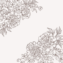 Blossoming peony flowers on white with wildflowers. Vector illustration. Perfect for background greeting cards and invitations of the wedding, birthday, Valentine's Day, Mother's Day.