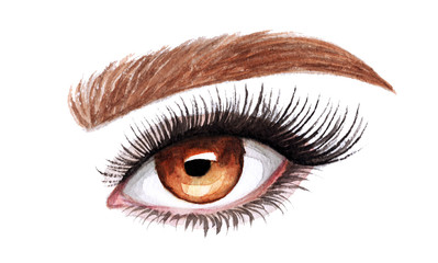 Woman eyes with long eyelashes. Hand drawn watercolor illustration. Eyelashes and eyebrows. Сoncept of eyelash extensions, microblading. Yellow eyes.